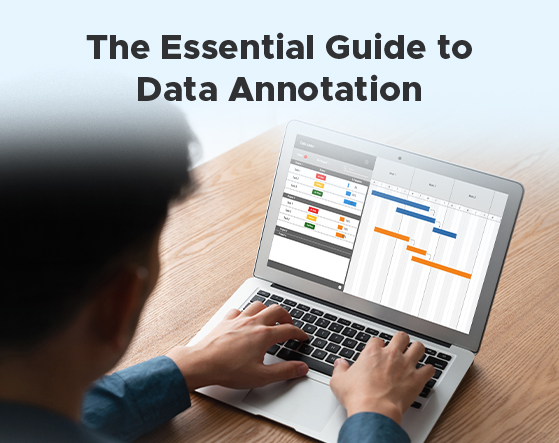 The Essential Guide to Data Annotation for AI Success
